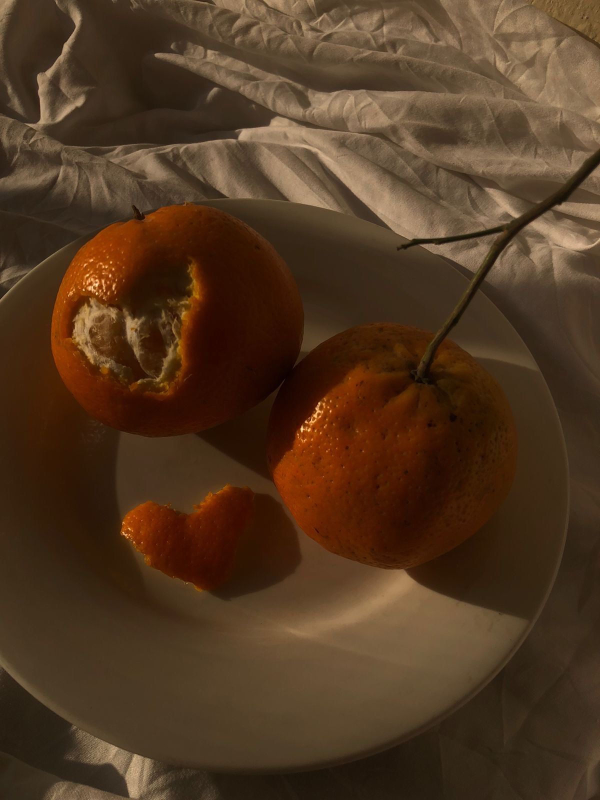 Food and lifestyle photography by Rehmat Khan